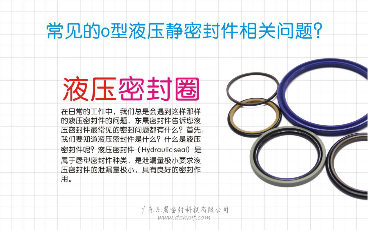 （五）常見(jiàn)的o型液壓靜密封件相關(guān)問(wèn)題？
